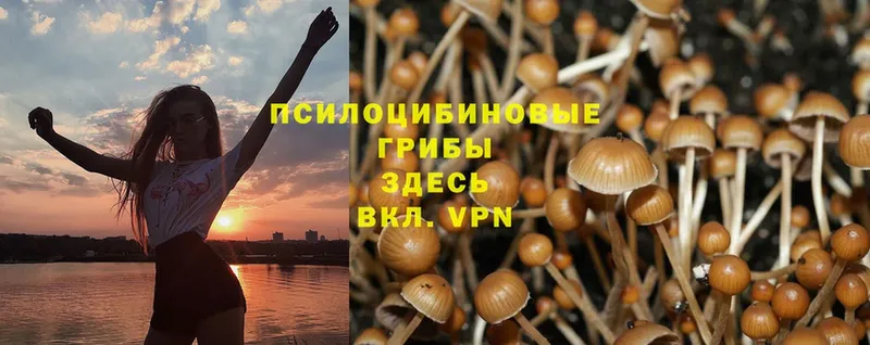 mega ONION  Усть-Лабинск  Галлюциногенные грибы Magic Shrooms 